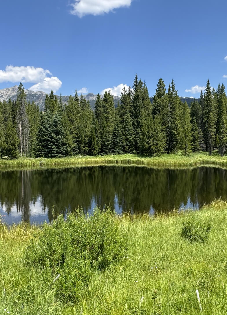 Investment Highlights